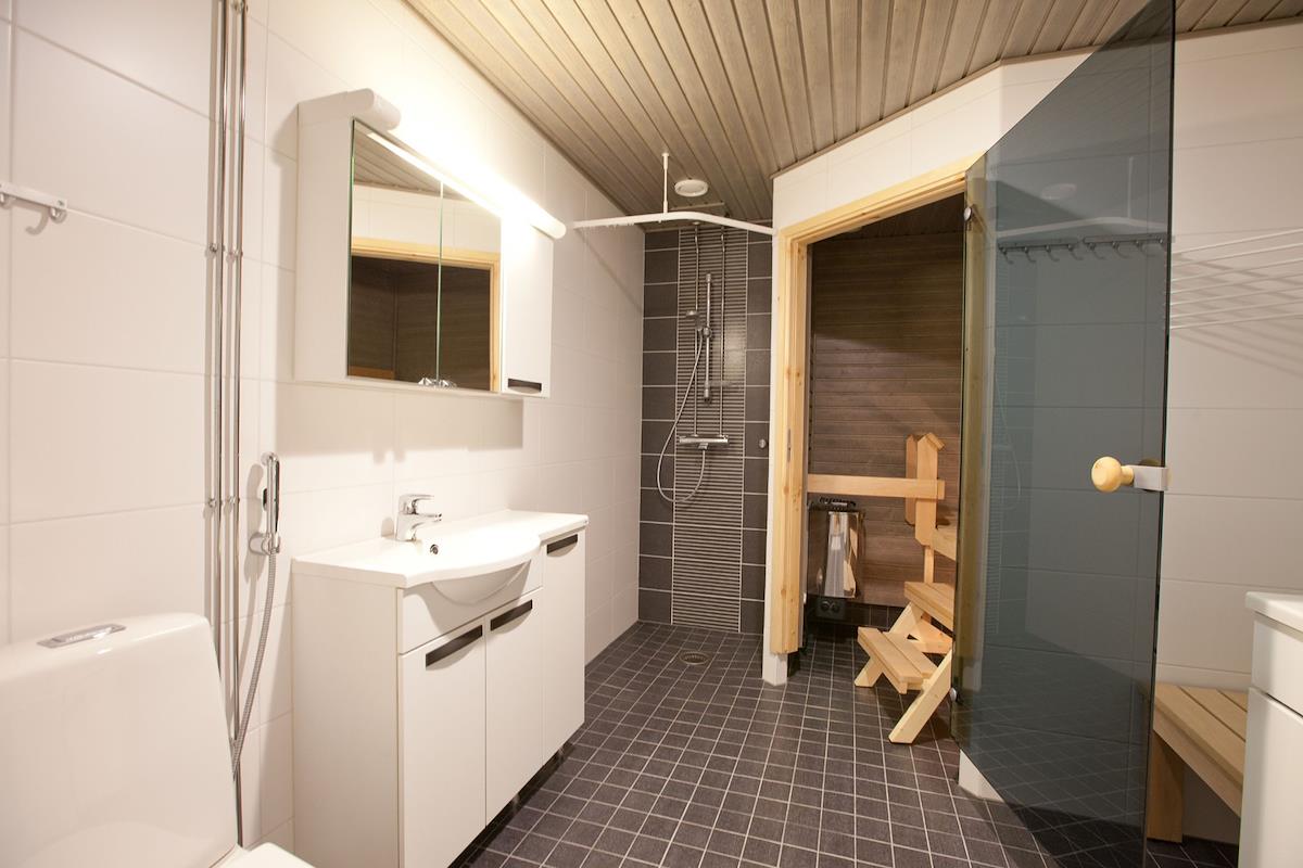 1 Bedroom apartment with sauna, image 4