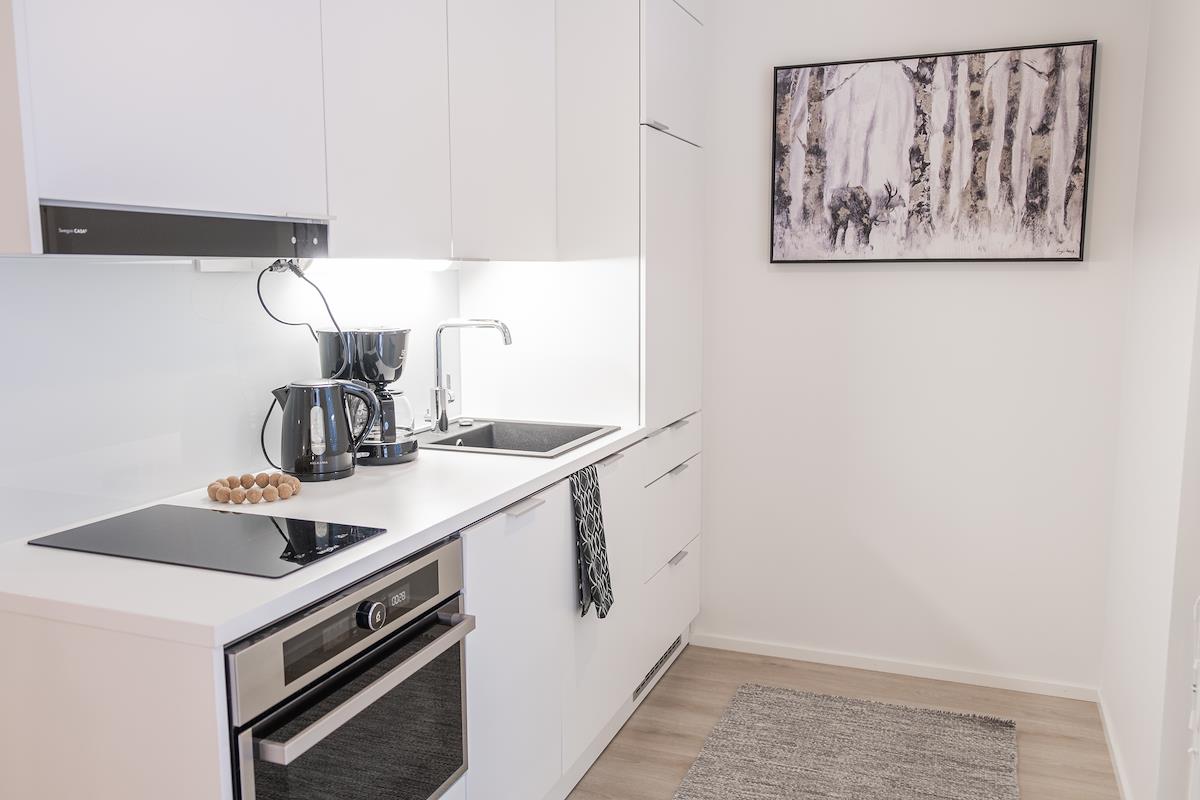 Yksiö, Snowflake Suites IX Rovaniemi, image 165