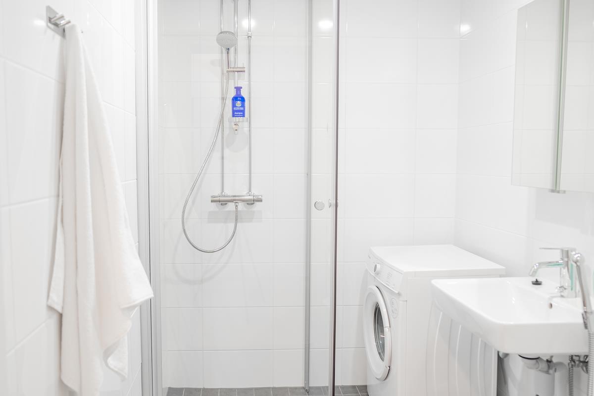 Studio apartment, Snowflake Suites V, image 14