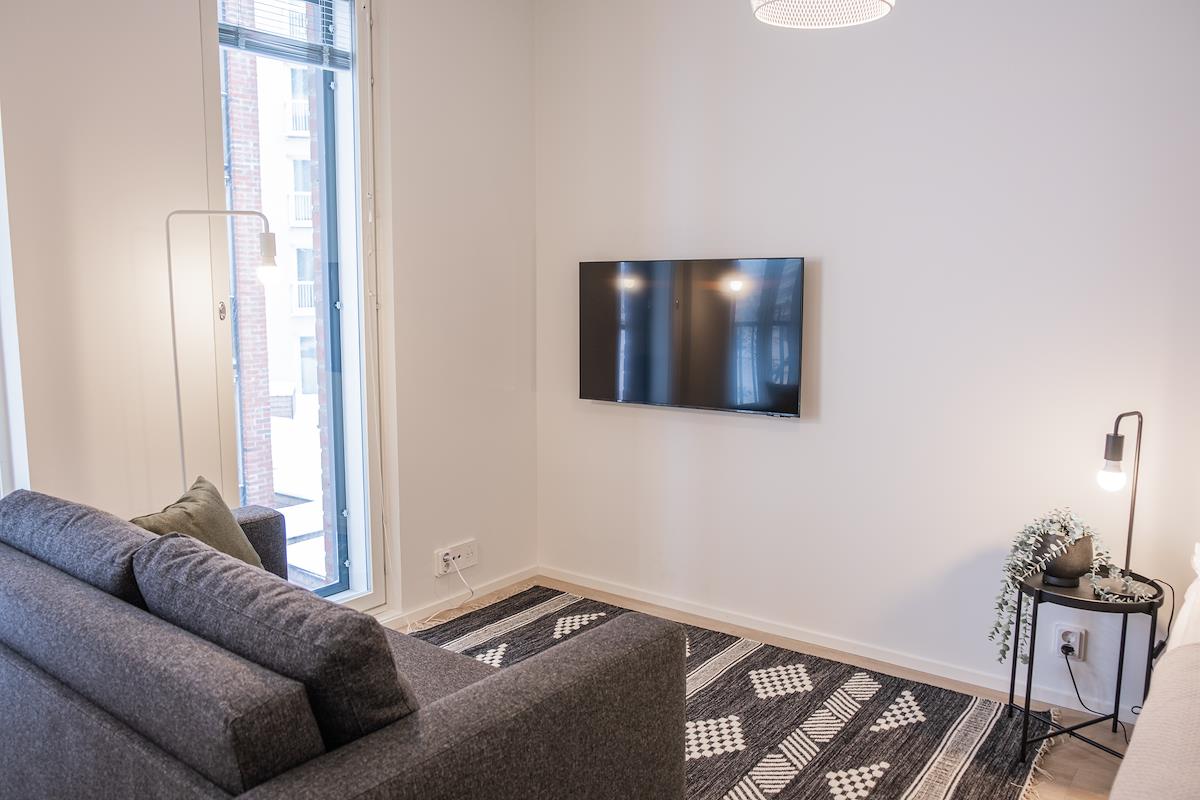 Studio apartment, Snowflake Suites V, image 12