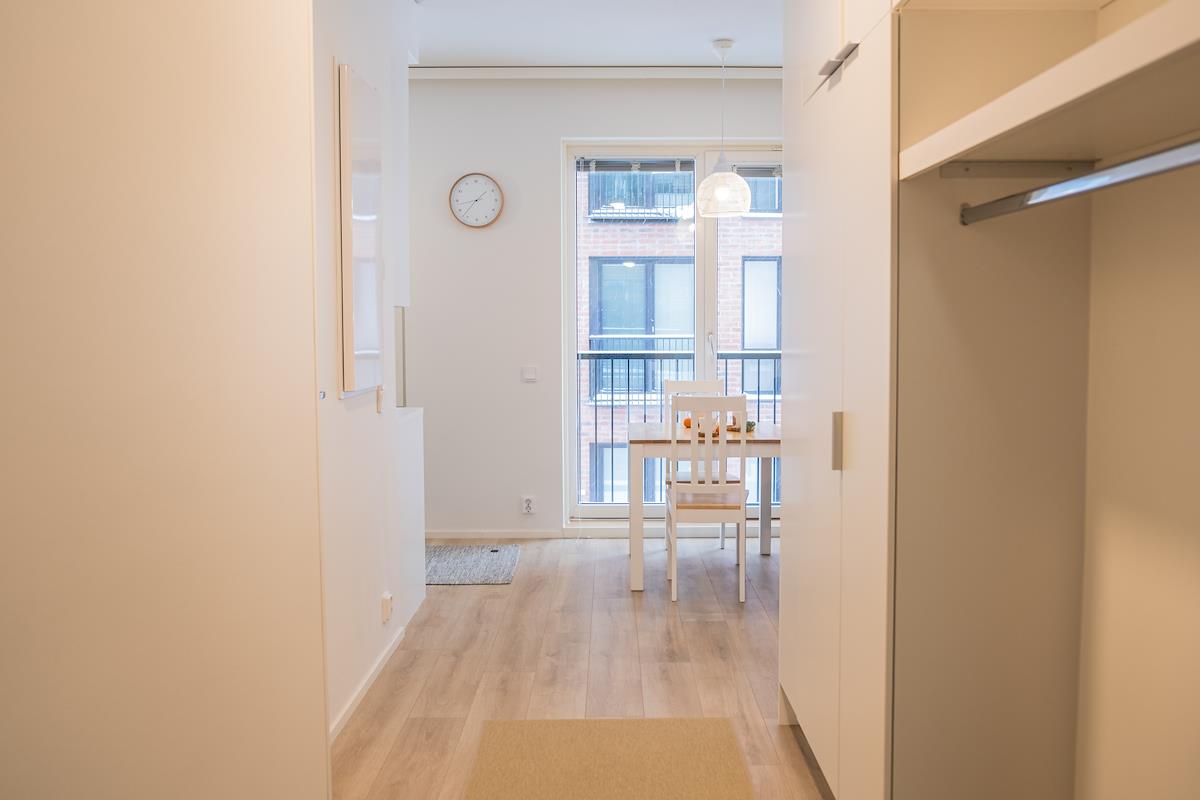 Studio apartment, Snowflake Suites V, image 15