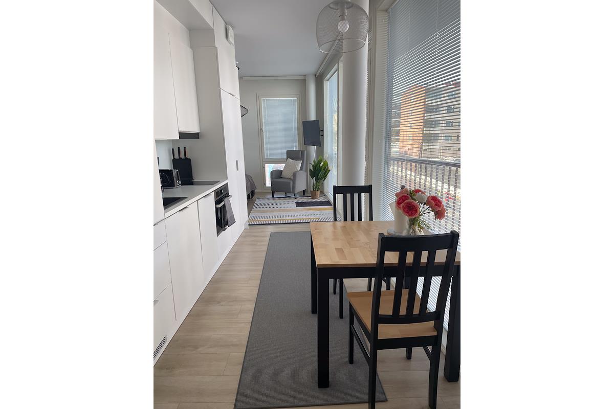 Studio apartment, Snowflake Suites VII, image 7