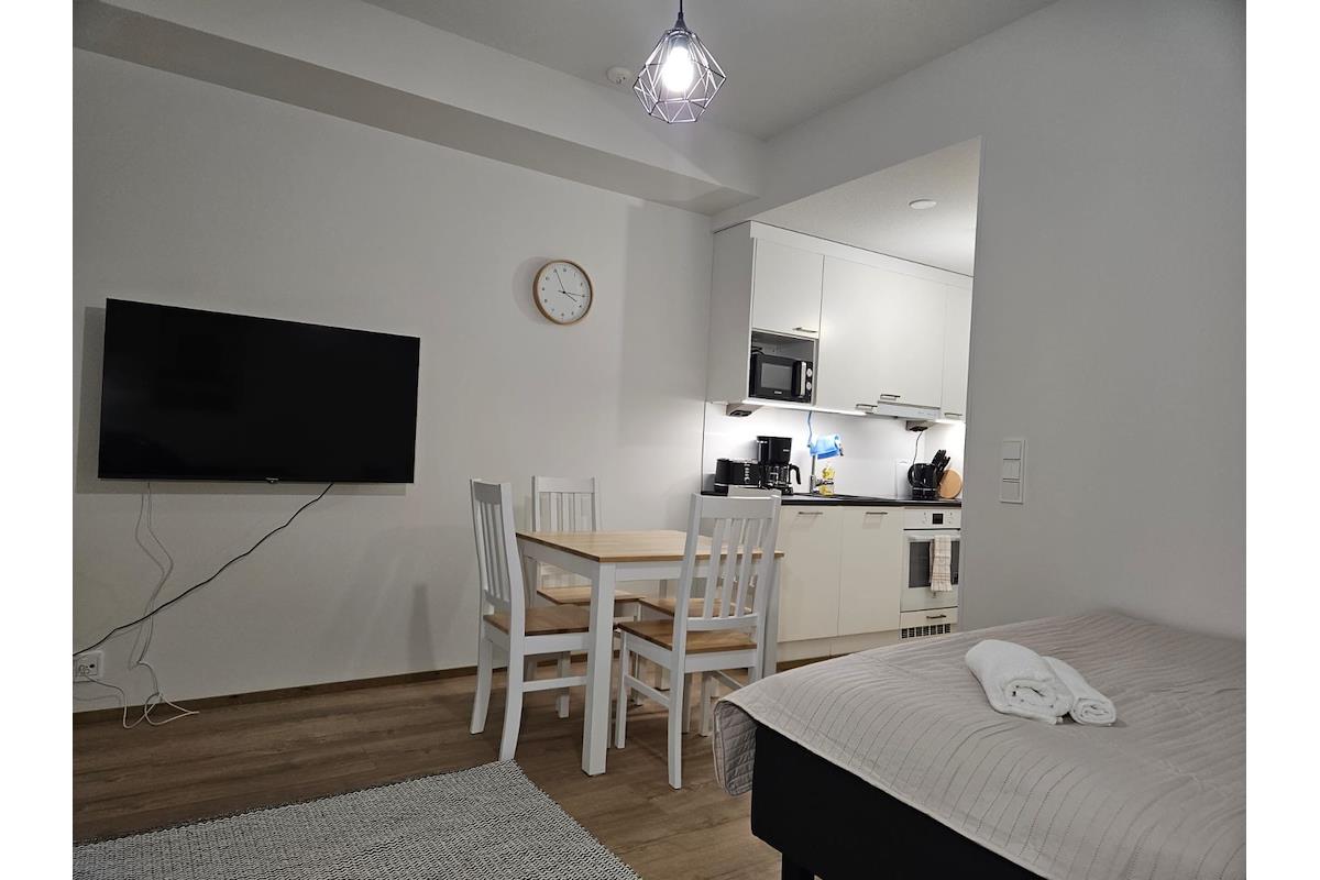 Aurora Studio Rovaniemi, image 6
