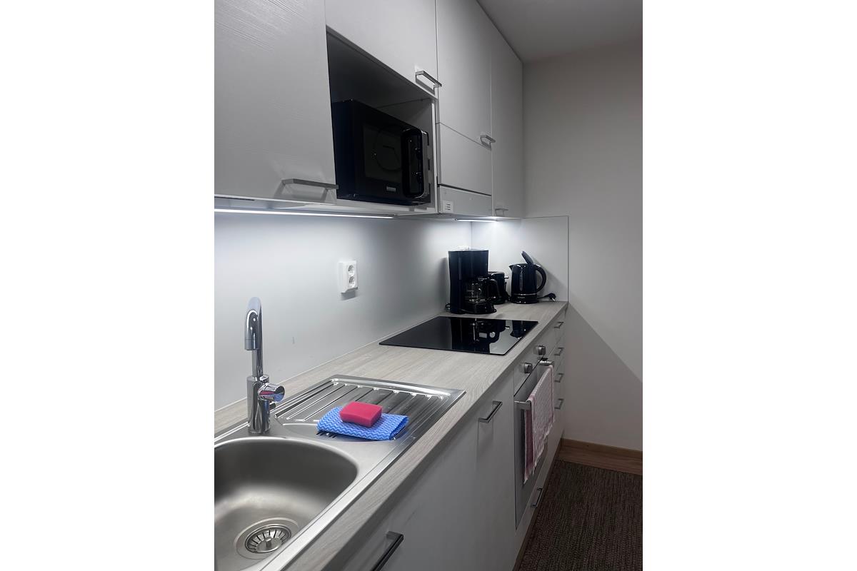 Kaksio saunalla Luxury Rovaniemi, image 5